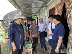 泾县：省农业农村厅在我县开展2021年省级农产品质量安全例行监测抽样工作